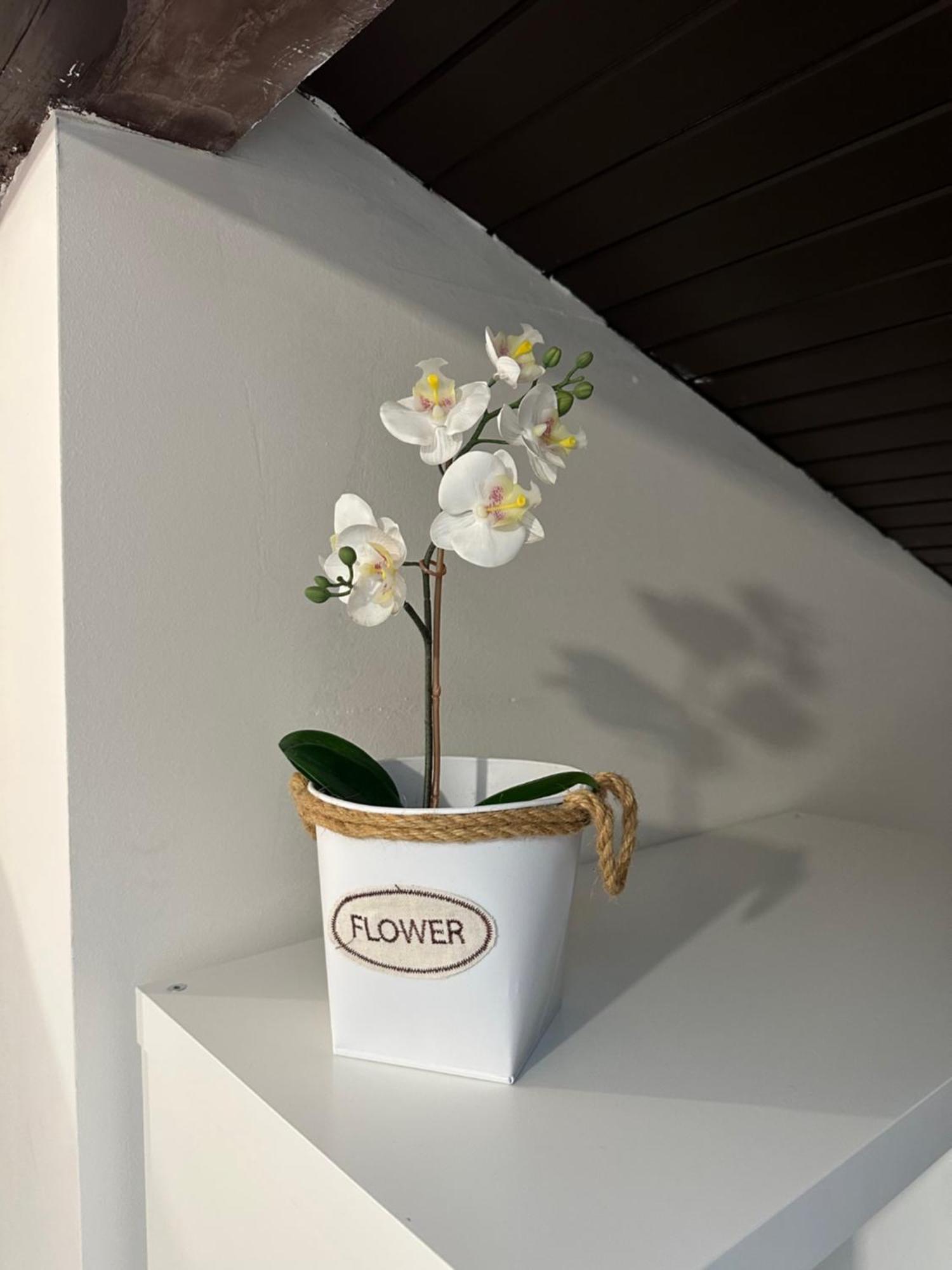 Apartmany Luxor Ceska Lipa Ngoại thất bức ảnh